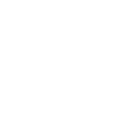 Development Management Development Management